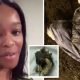 Azealia Banks Cooks Her Dead Cat Into Stew