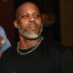 Each Of DMX's 15 Children Will Reportedly End Up Getting Less Than $25K