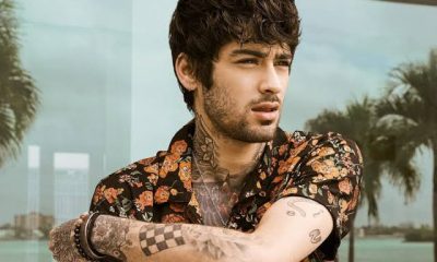 Zayn Malik Spotted On Dating App For Plus-Size Women Months After Split From Gigi Hadid