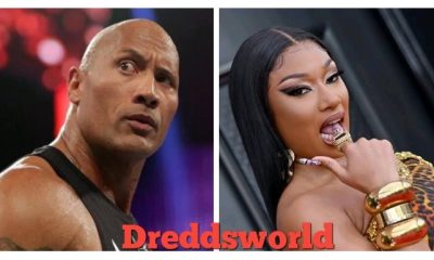 Dwayne 'The Rock' Johnson Would Like To Be Megan Thee Stallion's Pet