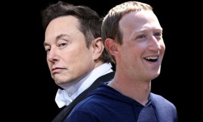 Elon Musk Claim Mark Zuckerberg “Declined” Fight